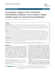 Comparative analysis of the Geobacillus hemicellulose utilization locus reveals a highly