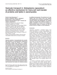 Histoplasma capsulatum an effective mechanism for trans-cell wall transfer