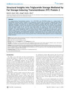 Structural Insights into Triglyceride Storage Mediated by