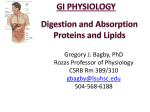 Gregory J. Bagby, PhD Rozas Professor of Physiology CSRB Rm 3B9/310 504-568-6188