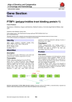 Gene Section PTBP1 (polypyrimidine tract binding protein 1)