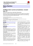 Gene Section PTPRR (protein tyrosine phosphatase, receptor type, R)