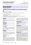 Gene Section AKAP9 (A kinase (PRKA) anchor protein (yotiao) 9)