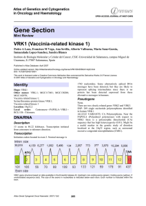 Gene Section VRK1 (Vaccinia-related kinase 1) Atlas of Genetics and Cytogenetics