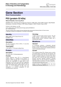 Gene Section P53 (protein 53 kDa) Atlas of Genetics and Cytogenetics