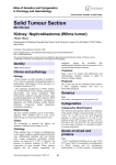 Solid Tumour Section Kidney: Nephroblastoma (Wilms tumor) Atlas of Genetics and Cytogenetics