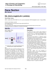 Gene Section IGL (Immunoglobulin Lambda) Atlas of Genetics and Cytogenetics