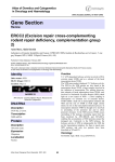 Gene Section ERCC2 (Excision repair cross-complementing rodent repair deficiency, complementation group 2)