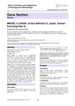 Gene Section MAD2L1 (mitotic arrest deficient 2, yeast, human homolog like-1)