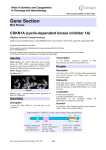 Gene Section CDKN1A (cyclin-dependent kinase inhibitor 1A) Atlas of Genetics and Cytogenetics