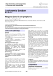 Leukaemia Section Marginal Zone B-cell lymphoma Atlas of Genetics and Cytogenetics