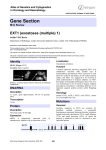 Gene Section EXT1 (exostoses (multiple) 1) Atlas of Genetics and Cytogenetics