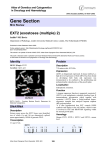 Gene Section EXT2 (exostoses (multiple) 2) Atlas of Genetics and Cytogenetics