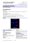 Leukaemia Section t(5;14)(q35;q32) Atlas of Genetics and Cytogenetics in Oncology and Haematology