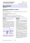 Gene Section IGL@ (Immunoglobulin Lambda) Atlas of Genetics and Cytogenetics