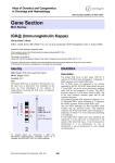 Gene Section IGK@ (Immunoglobulin Kappa) Atlas of Genetics and Cytogenetics