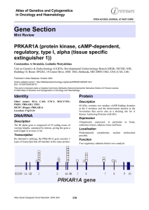 Gene Section PRKAR1A (protein kinase, cAMP-dependent, regulatory, type I, alpha (tissue specific