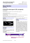 Gene Section ETV6 (ETS variant gene 6 (TEL oncogene))