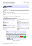 Gene Section POU6F2 (POU domain, class 6, transcription factor 2)