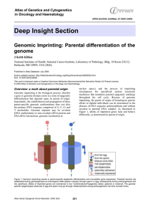 Deep Insight Section Genomic Imprinting: Parental differentiation of the genome