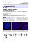 Leukaemia Section dup(21q) amplified (RUNX1) Atlas of Genetics and Cytogenetics