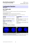 Leukaemia Section t(X;11)(q21;q23) Atlas of Genetics and Cytogenetics in Oncology and Haematology