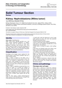 Solid Tumour Section Kidney: Nephroblastoma (Wilms tumor) Atlas of Genetics and Cytogenetics
