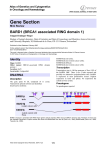 Gene Section BARD1 (BRCA1 associated RING domain 1) in Oncology and Haematology