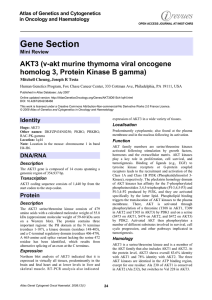 Gene Section AKT3 (v-akt murine thymoma viral oncogene