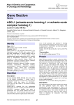 Gene Section ASCL1 (achaete-scute homolog 1 or achaete-scute complex homolog 1)