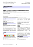 Gene Section SMAP1 (stromal membrane-associated protein 1) Atlas of Genetics and Cytogenetics
