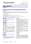 Gene Section RSPO1 (R-spondin homolog (Xenopus laevis)) Atlas of Genetics and Cytogenetics