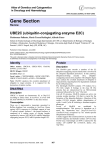 Gene Section UBE2C (ubiquitin-conjugating enzyme E2C) Atlas of Genetics and Cytogenetics
