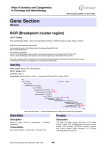 Gene Section BCR (Breakpoint cluster region) Atlas of Genetics and Cytogenetics