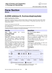 Gene Section ALDOB (aldolase B, fructose-bisphosphate) Atlas of Genetics and Cytogenetics
