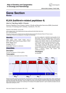 Gene Section KLK4 (kallikrein-related peptidase 4) Atlas of Genetics and Cytogenetics