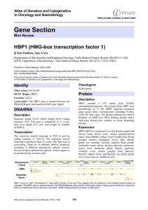 Gene Section HBP1 (HMG-box transcription factor 1) Atlas of Genetics and Cytogenetics