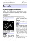 Gene Section MAP4 (microtubule-associated protein 4) Atlas of Genetics and Cytogenetics