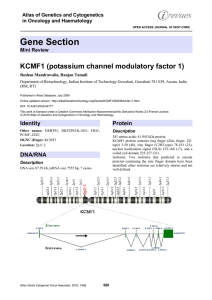 Gene Section KCMF1 (potassium channel modulatory factor 1) in Oncology and Haematology