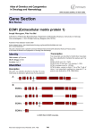 Gene Section ECM1 (Extracellular matrix protein 1)  Atlas of Genetics and Cytogenetics