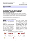 Gene Section ASPM (asp (abnormal spindle) homolog, microcephaly associated (Drosophila))