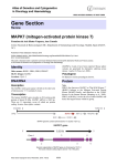 Gene Section MAPK7 (mitogen activated protein kinase 7) -