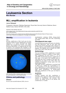 Leukaemia Section MLL amplification in leukemia  Atlas of Genetics and Cytogenetics