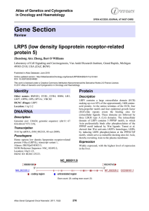 Gene Section LRP5 (low density lipoprotein receptor related protein 5)