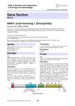 Gene Section SNAI1 (snail homolog 1 (Drosophila))  Atlas of Genetics and Cytogenetics