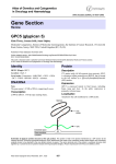 Gene Section GPC5 (glypican 5)  Atlas of Genetics and Cytogenetics