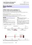 Gene Section HTRA1 (HtrA serine peptidase 1)  Atlas of Genetics and Cytogenetics