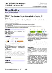 Gene Section SRSF1 (serine/arginine rich splicing factor 1) -
