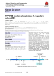 Gene Section PPP1R9B (protein phosphatase 1, regulatory subunit 9B)