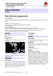 Gene Section BCL6 (B-Cell Lymphoma 6) Atlas of Genetics and Cytogenetics